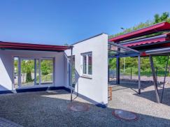 ausstellung-fenster 